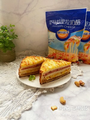 Delicious Cheese Sandwich recipe