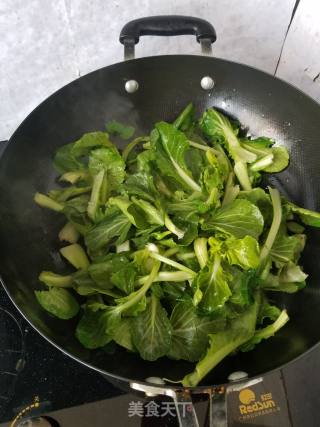 Vegetarian Stir-fried Rapeseed recipe