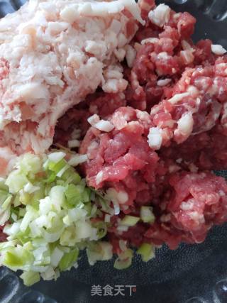 Tomato Beef Meatball Soup recipe