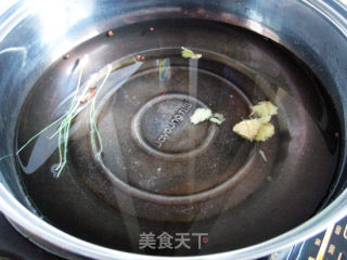 Brine Shrimp recipe