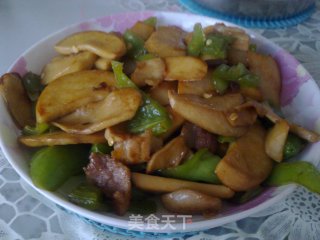 Pleurotus Eryngii in Oyster Sauce recipe