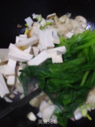 Braised King Pleurotus with Green Vegetables and Tofu recipe