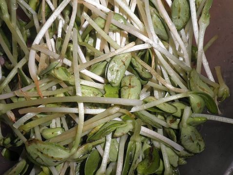 Peanut Tofu with Bean Sprouts recipe