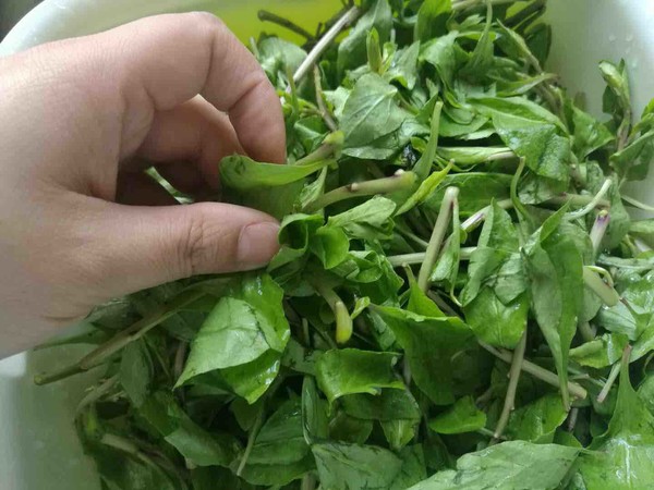 Stir-fried Wolfberry Tip recipe