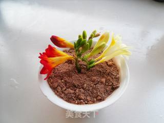 Freesia Potted Plant recipe