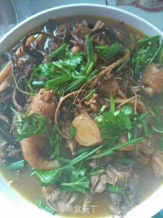 Stewed Chicken with Tea Tree Mushroom recipe