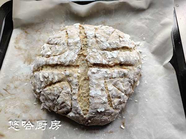 Sprouted Grain Soft European Bread recipe