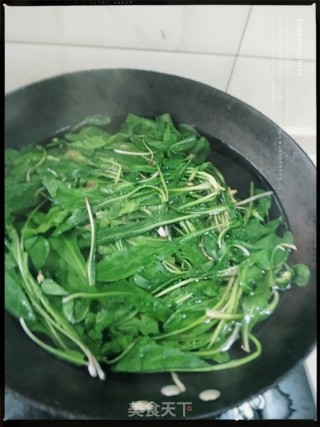 Stir-fried Dandelion recipe