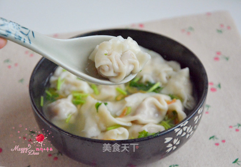 Beef and Cabbage Wonton