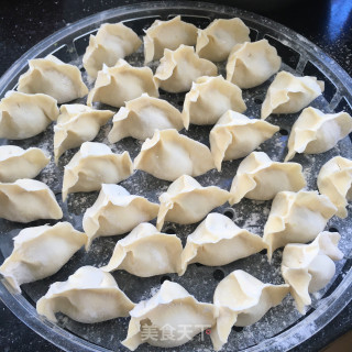 Coriander Meat Dumplings recipe