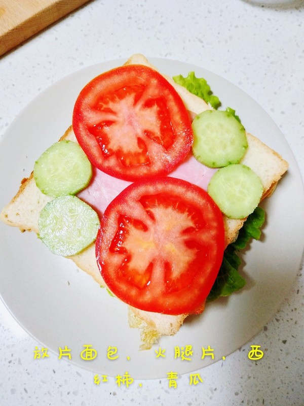 Spring Outing Snacks-sandwich recipe