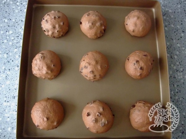 Eating Old and Enjoyable Cocoa Whole Wheat Chocolate Beans Soft European recipe