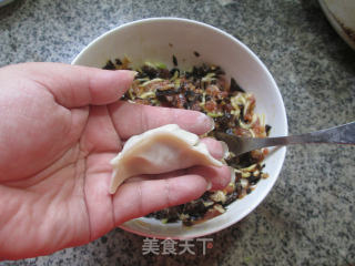 Black Fungus Night-flowering Meat Dumplings recipe