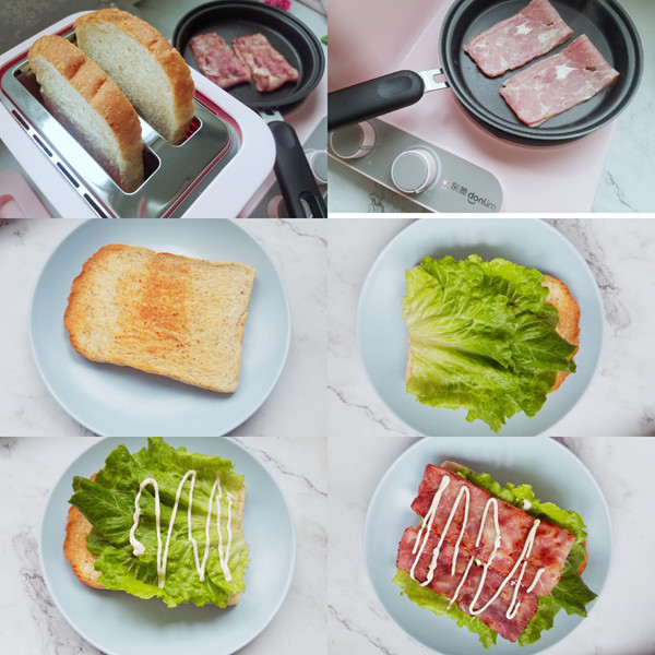 Bacon Toast Open Sandwich Vs Steamed Egg recipe