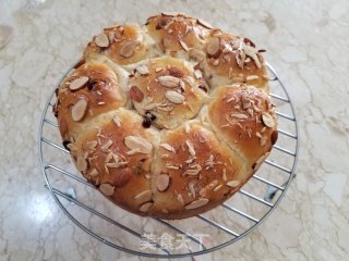 Yogurt Cranberry Bread recipe