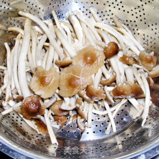 "mushroom" Power "food" Foot-double Pepper Tea Tree Mushroom recipe