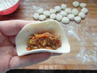 [healthy Pasta Series] Carrot Meat Dumplings recipe