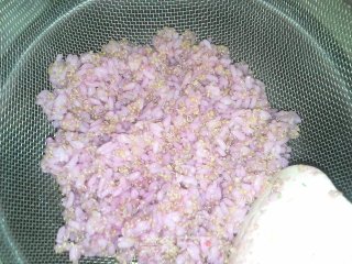 Sakura Sushi recipe