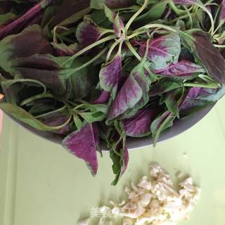 Garlic Red Amaranth recipe