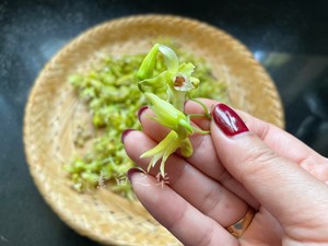 Pure Vegetarian Salad with Dendrobium Flowers recipe