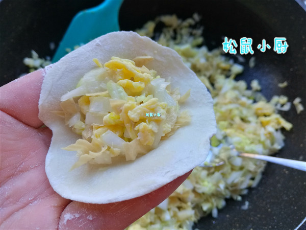 Cabbage and Egg Vegetarian Dumplings recipe