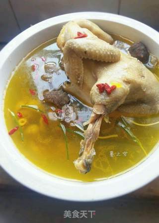 Stewed Old Hen Sea Cucumber Soup recipe