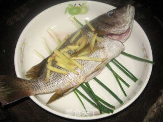Cantonese Steamed Fish recipe