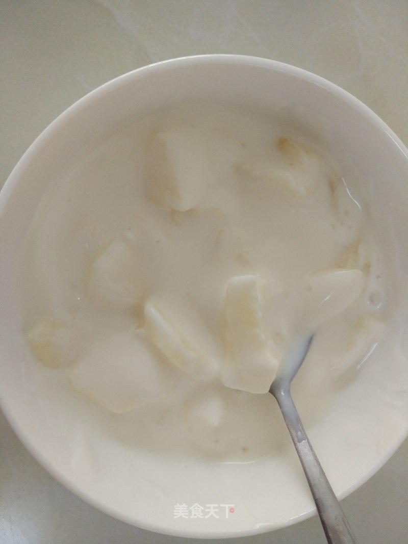 Homemade Plain Yogurt recipe