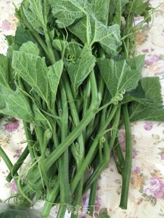 Stir-fried Pumpkin Seedlings recipe