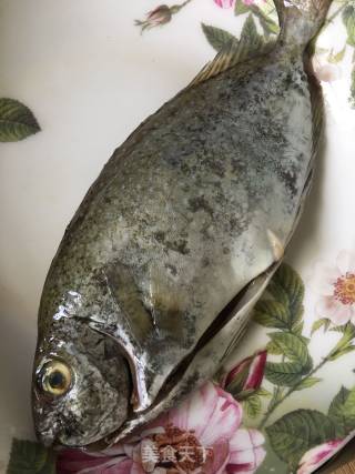 Pan-fried Mud Fish recipe