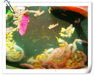 Simple and Delicious - Fried Noodles with Shredded Pork in Oyster Sauce recipe