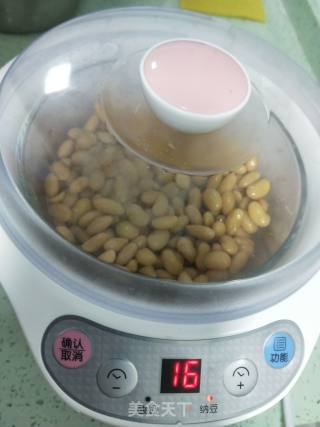 Homemade Brushed Natto recipe