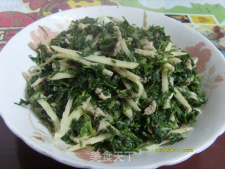 Stir-fried Shredded Pork with Shepherd's Purse and Winter Bamboo Shoots recipe