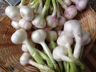 Sweet and Sour Pickled Garlic recipe