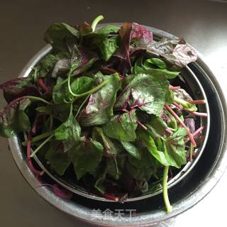 Amaranth Salad recipe
