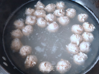 Boiled Meatballs and Cabbage Soup recipe