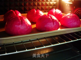 Dragon Fruit Soft European Buns recipe