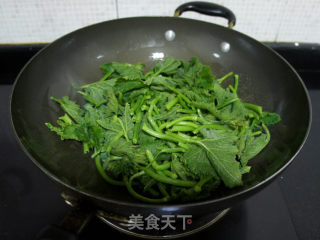 Stir-fried Pumpkin Seedlings recipe