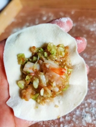 Pork Shrimp and Cabbage Dumplings recipe