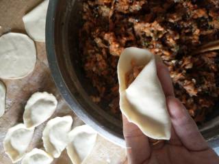 Carrot Beef Dumplings with Fungus recipe