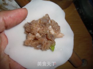 Pan-fried Crystal Shrimp Dumplings recipe