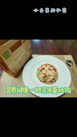 Fried Rice with Germ Rice and Egg recipe