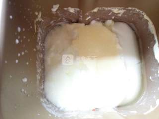 Homemade Old Yogurt (bread Machine Version) recipe