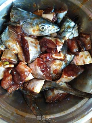 Spanish Mackerel in Tomato Sauce recipe