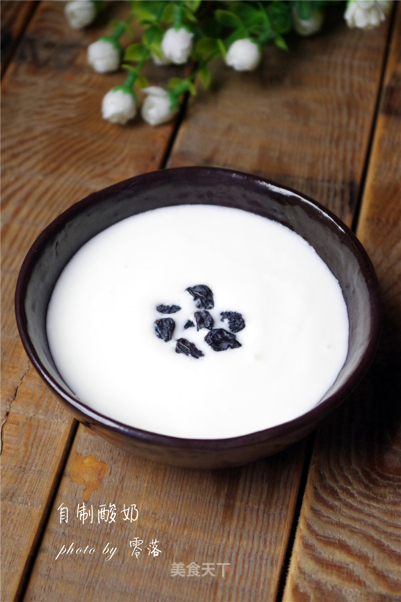 【run It! Stomach! 】homemade Plain Yogurt recipe