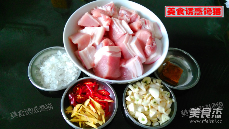 Electric Pressure Cooker Steamed Version of Braised Pork recipe