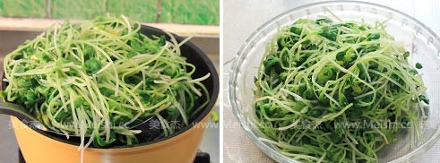 Black Bean Sprouts recipe