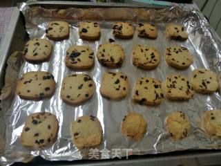 Cranberry Cookies recipe