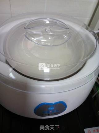 Homemade Fruit Yogurt recipe