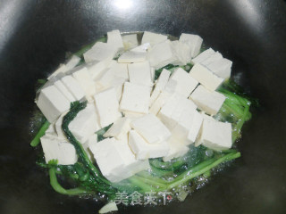 Braised Tofu with Cabbage recipe